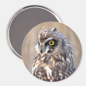 沼地素晴らしに生息する短耳フクロウ マグネット (正面/裏面)