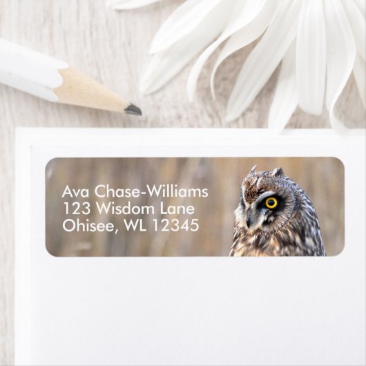 沼地素晴らしに生息する短耳フクロウ ラベル (インサイチュ)