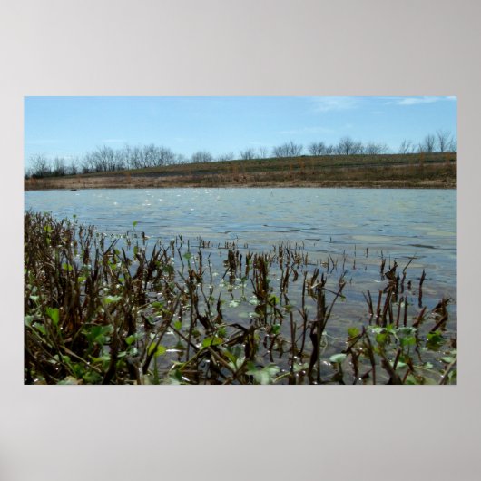 沼地 ポスター (正面)