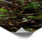 沼地 ポスター (角)