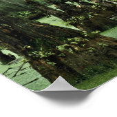 沼水から立ち上がる禿げたヒノキの膝 ポスター (角)