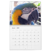 沼沢地の前哨のカレンダー カレンダー (3月 2027)