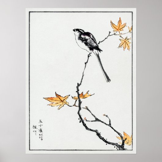 沼田カシュ日本のロングテールとカエデ ポスター (正面)