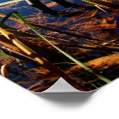 沼草 ポスター (角)