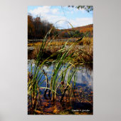 沼草 ポスター (正面)