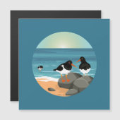 沿岸のオスターキャッチャー (正面/裏面)