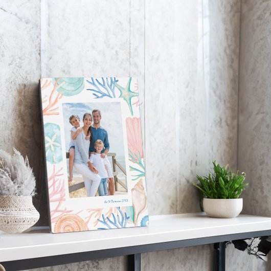 沿岸のクリスマスビーチ水の色シーシェルフォト フォトプラーク