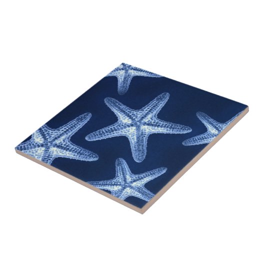 沿岸のシックなビーチの素朴な青い航海のヒトデ タイル (側面)