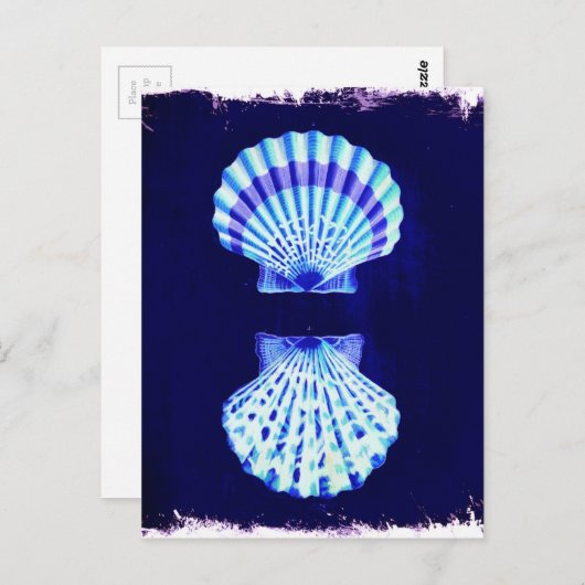 沿岸のシックなビーチの素朴航海のな海軍の貝殻 ポストカード (正面/裏面)