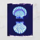 沿岸のシックなビーチの素朴航海のな海軍の貝殻 ポストカード (正面)
