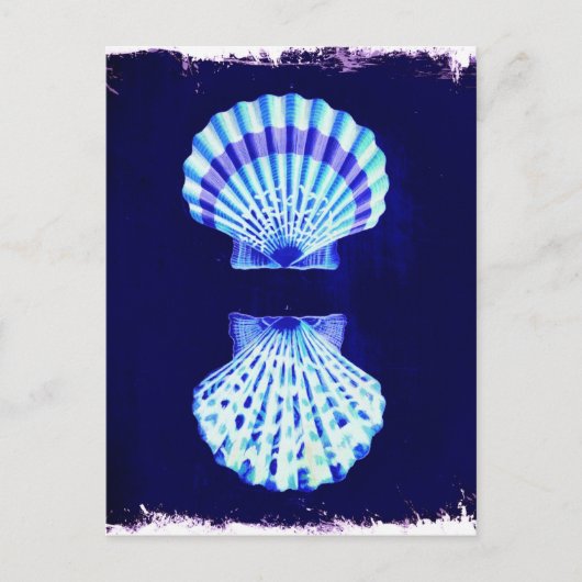 沿岸のシックなビーチの素朴航海のな海軍の貝殻 ポストカード (正面)