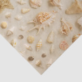 沿岸のヒトデと貝類のビーチ写真 薄葉紙 (詳細)