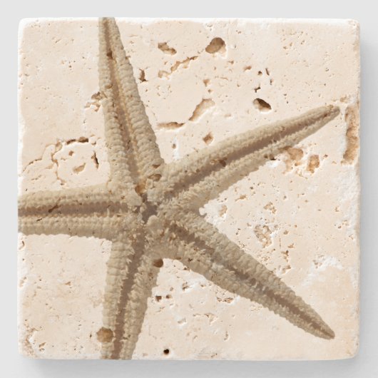沿岸のヒトデ飲料コースター、石 ストーンコースター (正面)