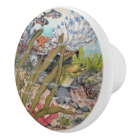 沿岸の海の生活モレイウナギの魚の水中海中 セラミックノブ (右)