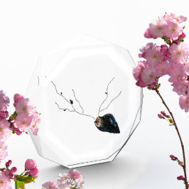 沿岸の詩やる気を起こさせるの装飾の机の付属品 フォトブロック