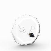 沿岸の詩やる気を起こさせるの装飾の机の付属品 フォトブロック (左)