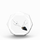 沿岸の詩やる気を起こさせるの装飾の机の付属品 フォトブロック (正面)