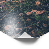沿岸の野草 フォトプリント            (角)