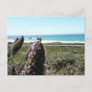 沿岸はがき ポストカード