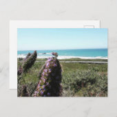 沿岸はがき ポストカード (正面/裏面)