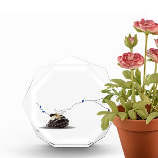 沿岸エレガント自然貝殻のデスクデコ フォトブロック