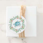 沿岸クリスマスシータートルクリスマスウォーターの色 フェイバータグ (インサイチュ)