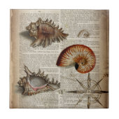 沿岸コンチヴィンテージシーシェル植物性プリント タイル (正面)