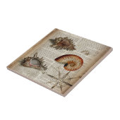 沿岸コンチヴィンテージシーシェル植物性プリント タイル (側面)