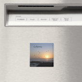 沿岸サンセットマグネット マグネット (インサイチュ (食洗機))