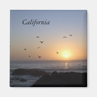 沿岸サンセットマグネット マグネット