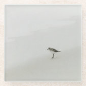 沿岸サンドパイパーオンビーチ ガラスコースター (正面)