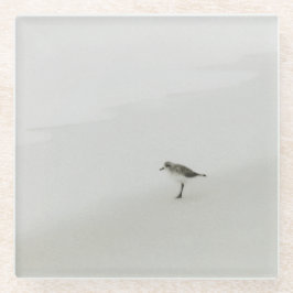 沿岸サンドパイパーオンビーチ ガラスコースター