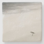 沿岸サンドパイパーオンビーチ ストーンコースター (正面)