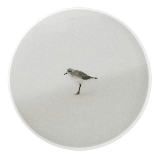 沿岸サンドパイパーオンビーチ セラミックノブ (正面)