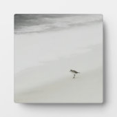 沿岸サンドパイパーオンビーチ フォトプラーク (正面)