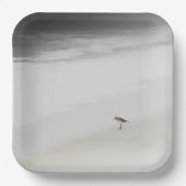 沿岸サンドパイパーオンビーチ ペーパープレート (正面)