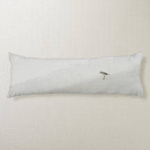 沿岸サンドパイパーオンビーチ