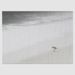 沿岸サンドパイパーオンビーチ 薄葉紙