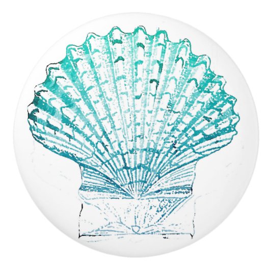 沿岸シックなティール（緑がかった色）ブルー・ウォーター・カラーのマーメイド・シーシェル セラミックノブ (正面)