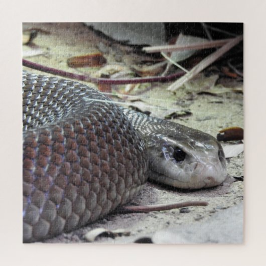 沿岸タイパン ジグソーパズル (縦)