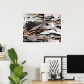 沿岸タイパン ポスター (ホームオフィス)