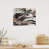 沿岸タイパン ポスター (キッチン)