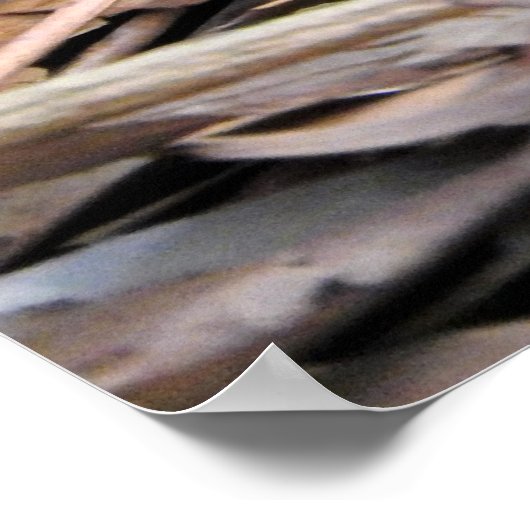 沿岸タイパン ポスター (角)