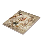 沿岸タツノオトシゴの貝殻の航海のな地図 タイル (側面)