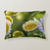 沿岸デイジー アクセントクッション (正面)