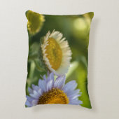 沿岸デイジー アクセントクッション (裏面(縦))