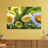 沿岸デイジー キャンバスプリント (インサイチュ (リビング))