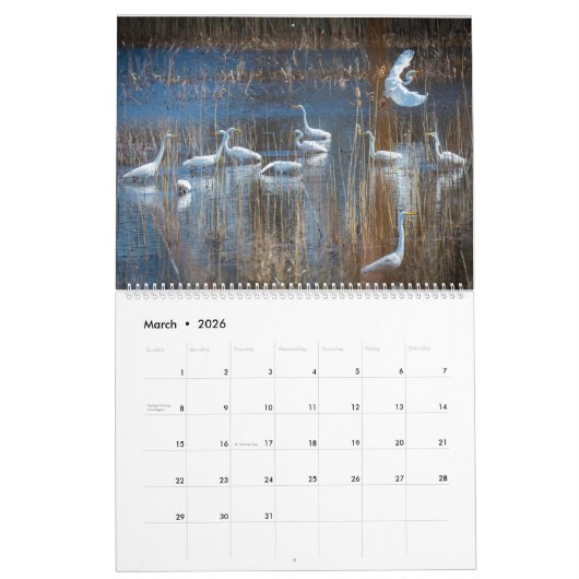 沿岸デラウェア暦2025 カレンダー (3月 2026)