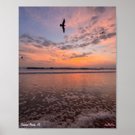 沿岸ビベス2023 ポスター