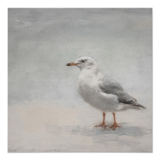 沿岸ビーチシーガルランドスケープ ポスター (正面)